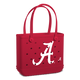 Alabama Crimson Tide