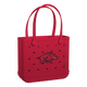 Arkansas Razorbacks
