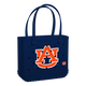 Auburn Tigers