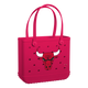 Chicago Bulls