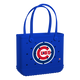 Chicago Cubs