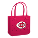 Cincinnati Reds