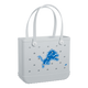 Detroit Lions