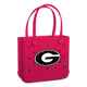 Georgia Bulldogs