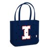 Illinois Fighting Illini