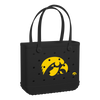 Iowa Hawkeyes