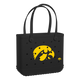 Iowa Hawkeyes