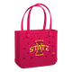 Iowa State Cyclones