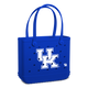 Kentucky Wildcats