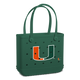 Miami Hurricanes