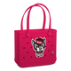 North Carolina State Wolfpack