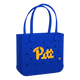 Pittsburgh Panthers