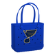 St. Louis Blues