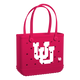 Utah Utes