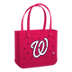 Washington Nationals