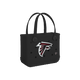 Atlanta Falcons