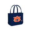 Auburn Tigers