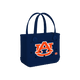 Auburn Tigers