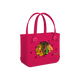 Chicago Blackhawks