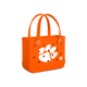 Clemson Tigers