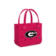 Georgia Bulldogs