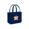 Houston Astros