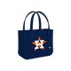 Houston Astros