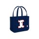 Illinois Fighting Illini