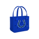 Indianapolis Colts