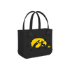 Iowa Hawkeyes