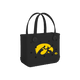 Iowa Hawkeyes