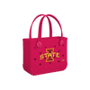 Iowa State Cyclones
