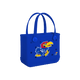 Kansas Jayhawks