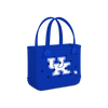 Kentucky Wildcats