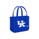Kentucky Wildcats