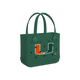 Miami Hurricanes