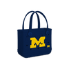 Michigan Wolverines