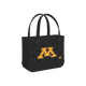 Minnesota Golden Gophers