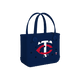 Minnesota Twins