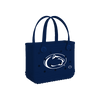 Penn State Nittany Lions
