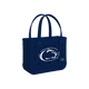 Penn State Nittany Lions