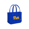Pittsburgh Panthers