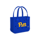 Pittsburgh Panthers