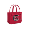 South Carolina Gamecocks