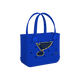 St. Louis Blues