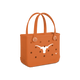 Texas Longhorns