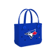 Toronto Blue Jays