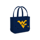 West Virginia Mountaineers