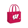Wisconsin Badgers