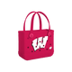 Wisconsin Badgers